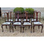 Eight Queen Anne style dining chairs with cabriole front legs.