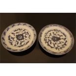A pair of Chinese porcelain plates, painted in underglaze blue with floral decoration, the base