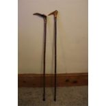 Two long walking sticks with antler handles