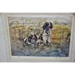 AFTER HENRY WILKINSON - A PAIR OF PRINTS OF GUN DOGS - SPRINGERS (42/200) POINTER (16/180)