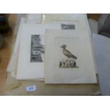 QTY OF UNFRAMED PRINTS/ETCHINGS ETC