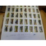 15 SETS OF CIGARETTE CARDS MOUNTED IN SKETCH PAD