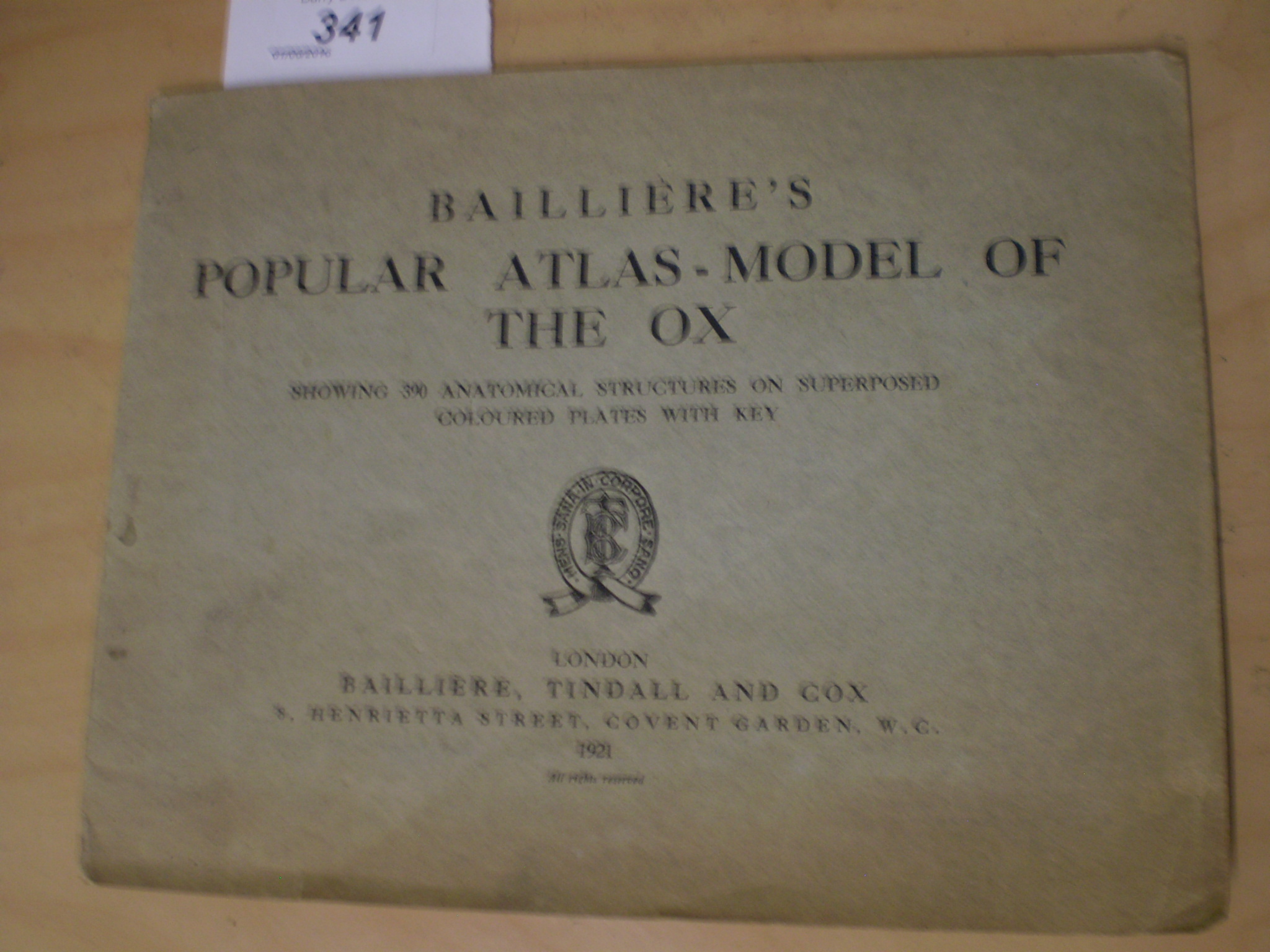 BAILLIERES POPULAR ATLAS MODEL OF THE OX - 1921