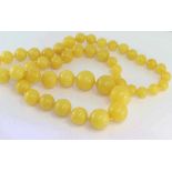Matinee length graduated Baltic amber necklace