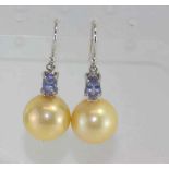 Golden coloured cultured pearl &tanzanite earrings