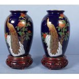 Pair Chinese ceramic vases on stands