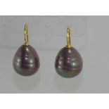 Tahitian pearl and 9ct gold earrings
