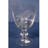 Large etched rainbow Lorikeet stemmed glass