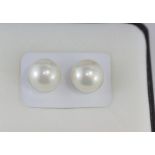 Pair unset high lustre Broome pearls