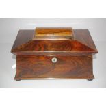 Large Regency Brazilian rosewood sarcophagus caddy