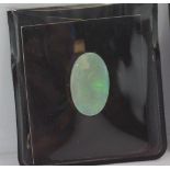 Australian oval opal solid