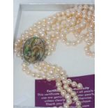 Boxed three strand pearl necklace with paua shell