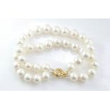 White pearl bracelet with 14K plated clasp