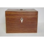 Late Georgian casuarina tea caddy