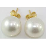 18ct yellow gold South Sea pearl studs