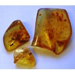 Three pieces of unset amber