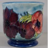 Moorcroft Anemone jardiniere