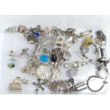 Various charms and earrings