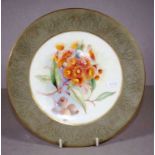 Royal Worcester handpainted "gumnut' display plate