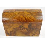 Victorian burr walnut caddy