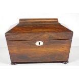 William IV period rosewood sarcophagus caddy