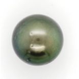 13.5mm round Tahitian black pearl