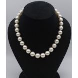 Good large round Broome pearl necklace