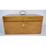 Large George III casuarina caddy