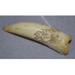 19th century whale tooth scrimshaw