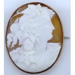 A large antique cameo and 9ct gold brooch.