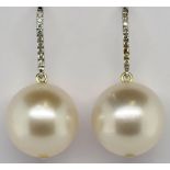 Pair of 13.8mm round Broome pearl earrings