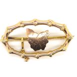 Edwardian 9ct gold Tasmania map brooch