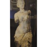 Paul Pribila - framed Venus de Milo