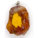 Amber specimen pendant