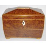 Regency angled sarcophagus caddy