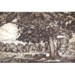 USA School - framed etching - Landscape