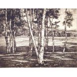 USA School - framed etching - Forest Clearing