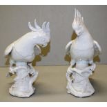Pair ceramic cockatoo figures
