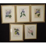 Five botanical lithographs