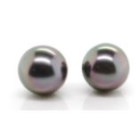 9mm Tahitian pearl and 14ct white gold stud