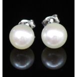 South sea pearl and 14ct white gold stud