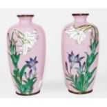 Pair of cloisonne vases