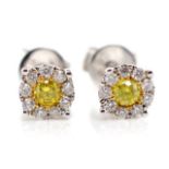 Yellow and white diamond 18ct gold stud earrings