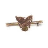 9ct gold Tasmania map brooch