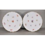 Pair of Meissen hand painted platters