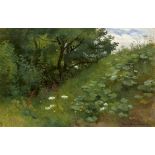 Claudius, Wilhelm Ludwig Heinrich: Sommerlicher Wiesengrund mit Blumen am Waldrand in Rosenthal