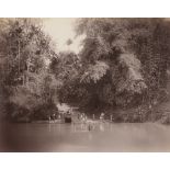 Ceylon: Jungle and river landscapes of Ceylon Photographer: Charles T. Scowen (1852 - 1948), William