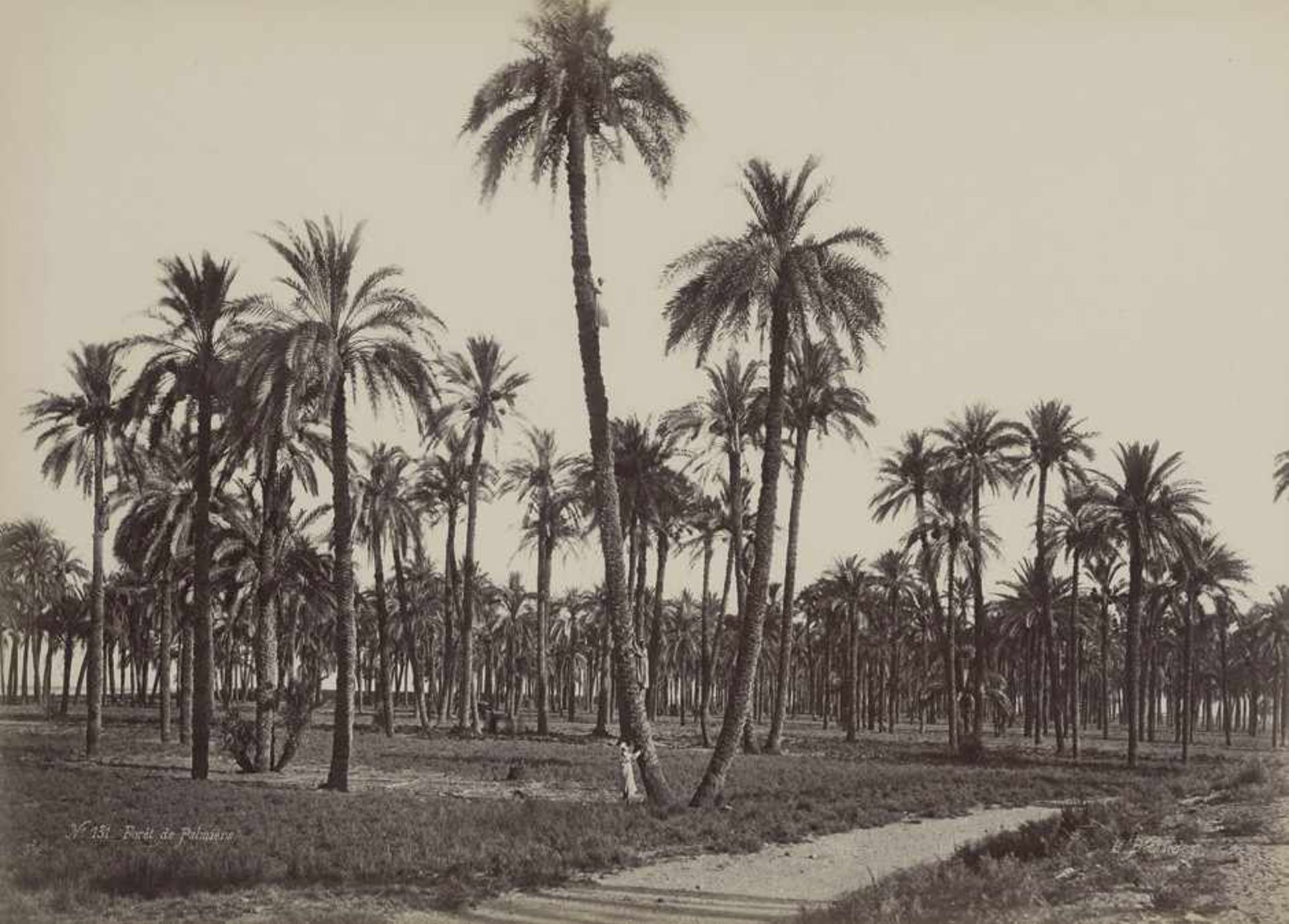 Béchard, Henri: Views of EgyptViews of Egypt: ruins, temples of Karnak and landscapes. Mid-1870s.