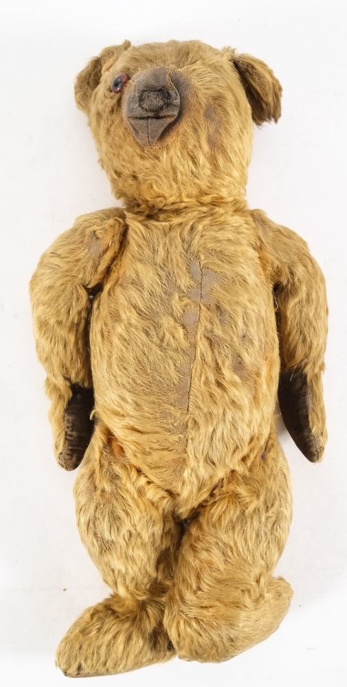 An early 20th century blonde plush Teddy bear:, with glass eye and stitched nose,