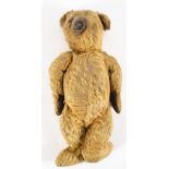 An early 20th century blonde plush Teddy bear:, with glass eye and stitched nose,
